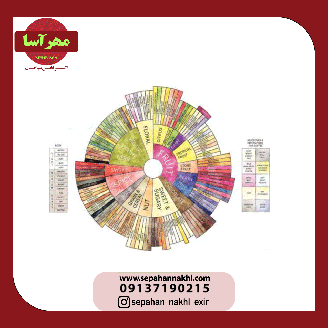 نحوه استفاده از چرخه طعمی قهوه ( flavor wheel ) در 8 مرحله