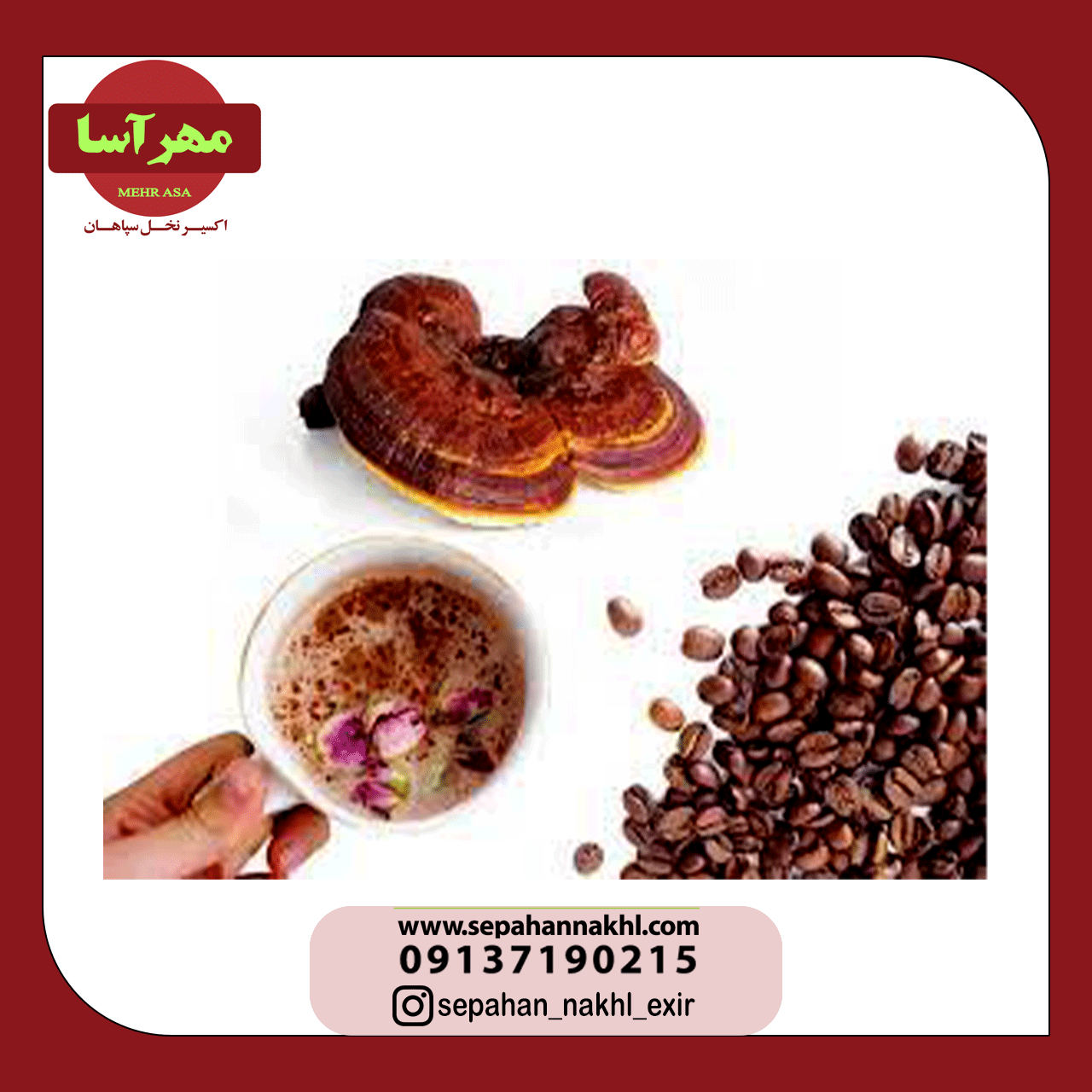 قهوه گانودرما چیست : خواص و فواید قارچ جان افزا